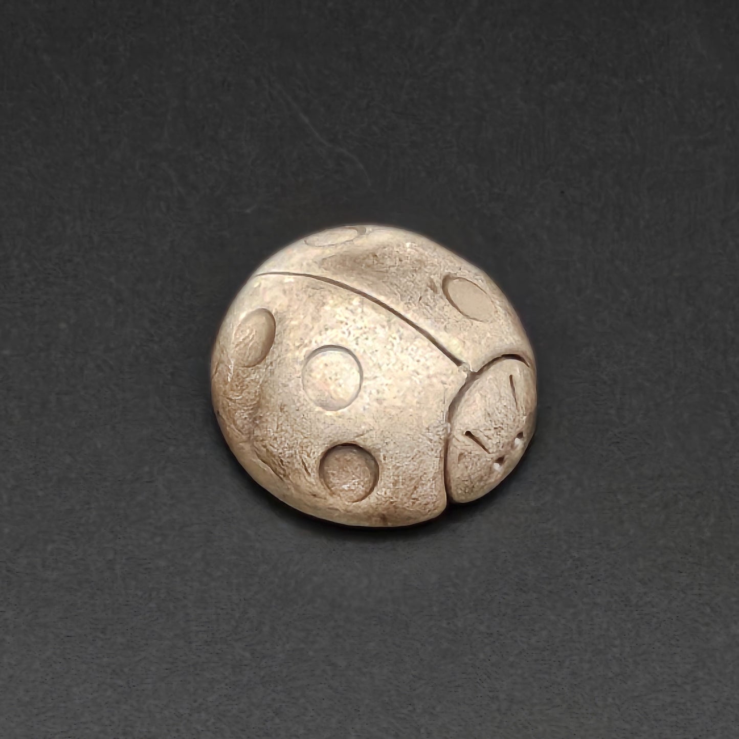 Magnet Coccinelle