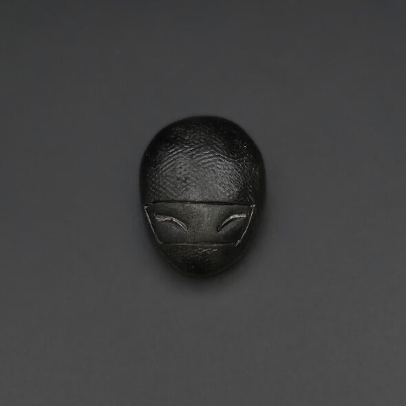 Magnet Ninja Ludo