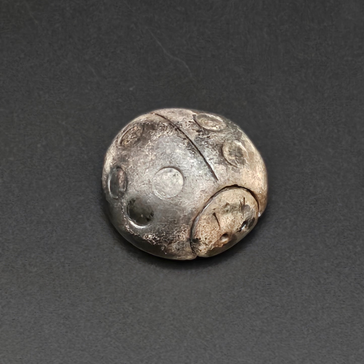 Magnet Coccinelle