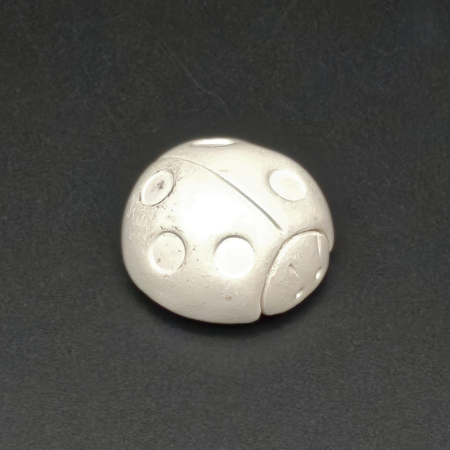 Magnet Coccinelle