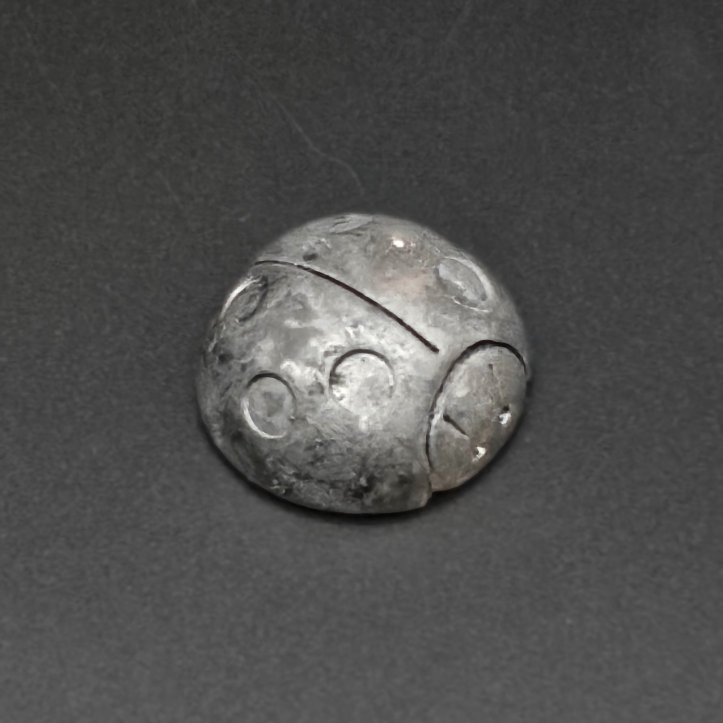 Magnet Coccinelle