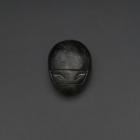 Magnet Ninja Ludo